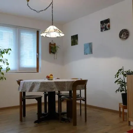 Sleeps 4 Wifi Lejlighed Grindelwald