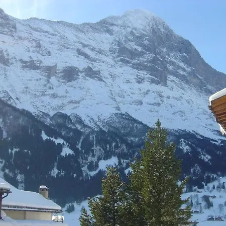 Lejlighed Sleeps 4 Wifi Grindelwald